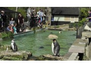 Birdland Park & Gardens, Bourton-on-the-Water